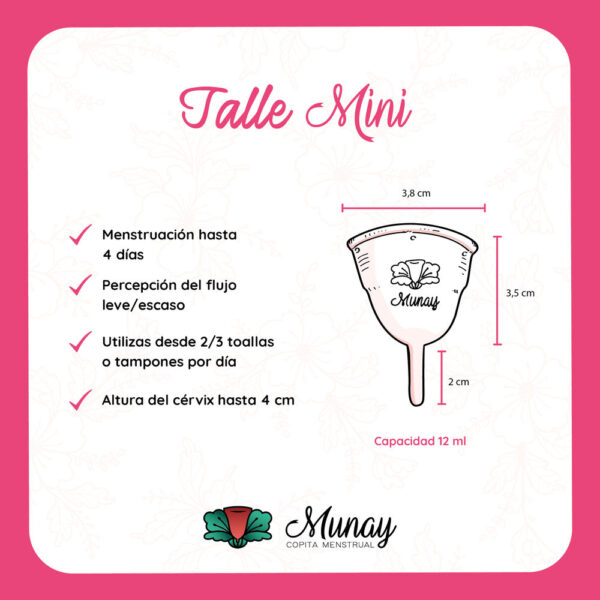 Munay colors - Imagen 6