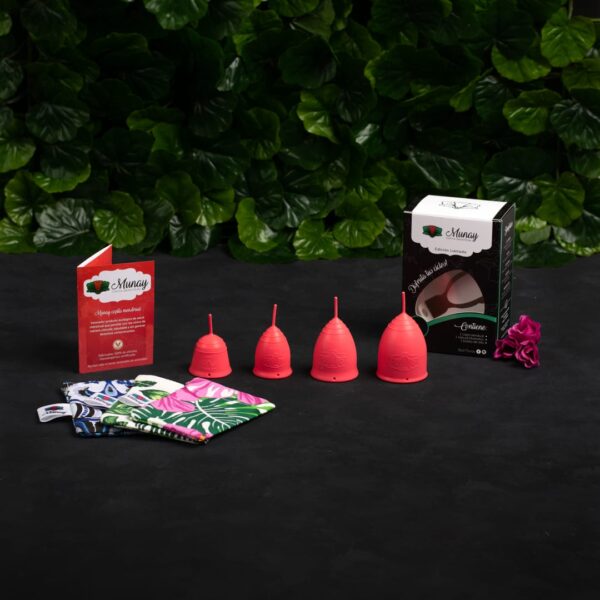 Munay colors - Imagen 3